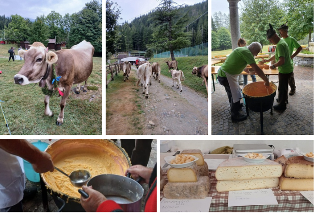 Schermata 2025 09 02 alle 08.43.07