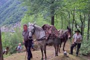 Simplon Säumer: i someggiatori tornano a Domodossola il 3 e 4 settembre