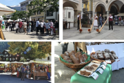 Parchi ossolani e svizzeri protagonisti a Visp con l’iniziativa Parchi in Città