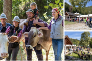 Val Bognanco in festa per la transumanza: successo per la “Scargàa di Alp”