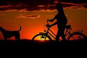 Un piano di dieci anni per pedalare e camminare: il VCO punta sulla mobilità dolce