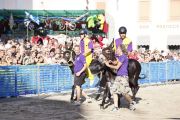 Cameri, il programma della patronale che culminerà con il palio degli asini