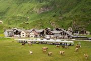 A Riale torna la But gourmet a scopo benefico. 12 chef in campo 